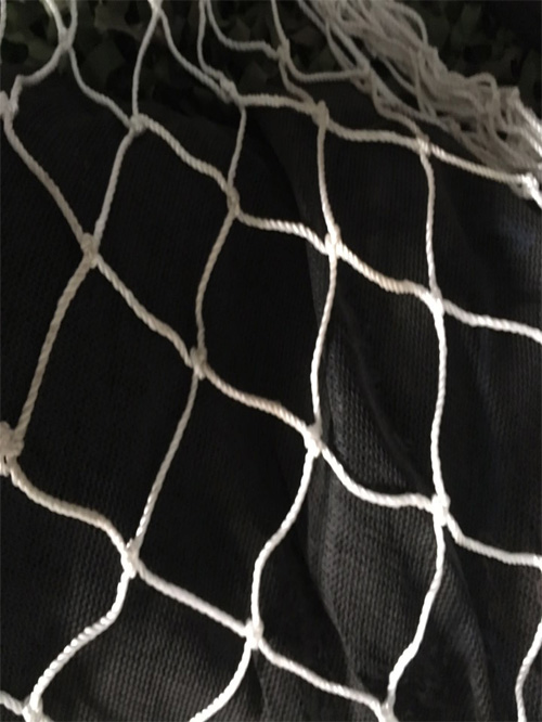 ��ɫ �н�����