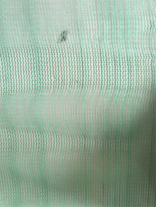 Բ˿ɻ�Ƿ�����