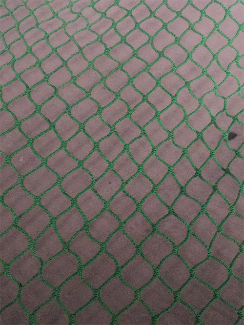 ��ɫ����