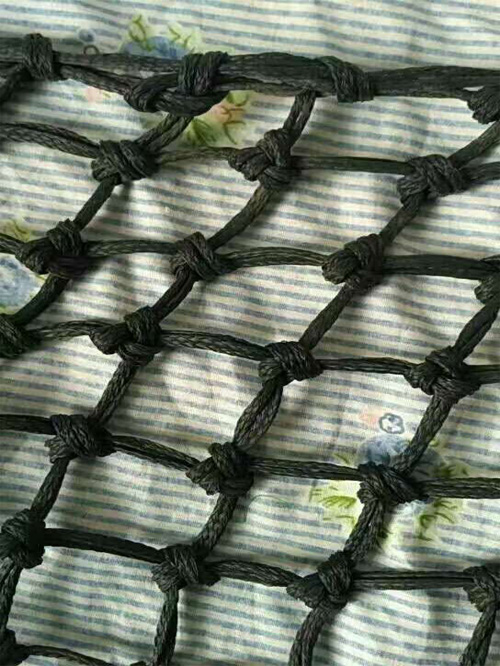 ��ɫ �н�����