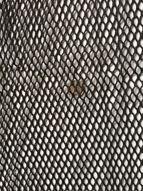 ��ɫ С��������