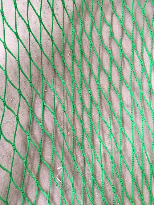 ��ɫ����ϩ����