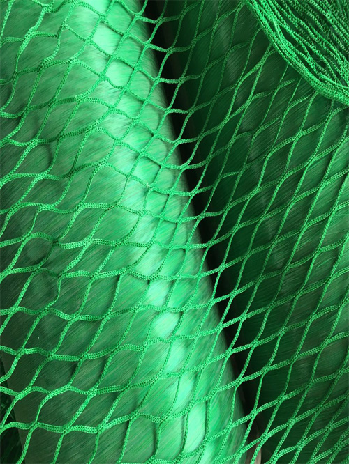 ��ɫ����ϩ����