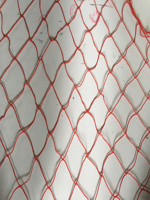 ��ɫ�޽���